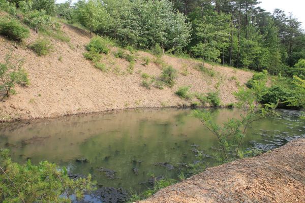 Pond Erosion Repair in Chippewa Falls
