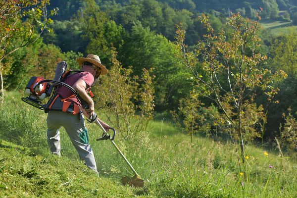 Slope Trimming in Chippewa Falls